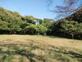 怒田城（奴田城・沼田城・吉井城、吉井の城山）の登城記録(dougenさん)