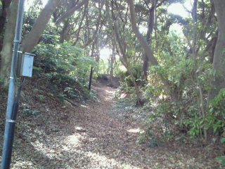 新井城（荒井城・小網代城・三崎城）の登城記録(dougenさん)