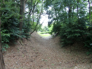 早川城（早川城山）の登城記録(dougenさん)