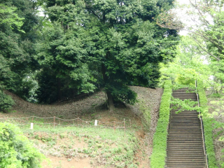 早川城（早川城山）の登城記録(dougenさん)