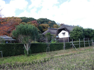 獅子ヶ谷城（御薗城・獅子ヶ谷殿山）の登城記録(dougenさん)