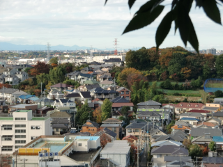 獅子ヶ谷城（御薗城・獅子ヶ谷殿山）の登城記録(dougenさん)