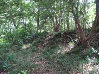 板橋富士山陣場の登城記録(dougenさん)
