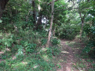 板橋富士山陣場の登城記録(dougenさん)