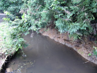 久下田城の登城記録(dougenさん)