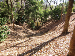 由木城の登城記録(dougenさん)