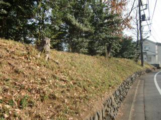 藤橋城の登城記録(dougenさん)