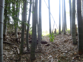 小野路関屋城の登城記録(dougenさん)