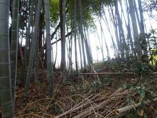 小野路関屋城の登城記録(dougenさん)