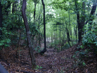 小沢城の登城記録(dougenさん)