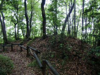 小沢城の登城記録(dougenさん)