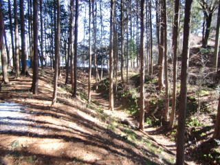 殿島城の登城記録(dougenさん)