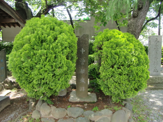 中曽根城の登城記録(dougenさん)