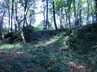 谷保城の登城記録(dougenさん)