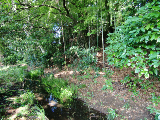 谷保城の登城記録(dougenさん)