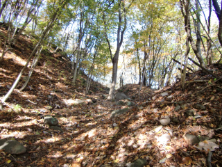 獅子吼城の登城記録(dougenさん)