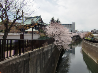 滝野川城の登城記録(dougenさん)