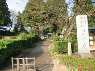 東林寺城の登城記録(dougenさん)