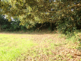 東林寺城の登城記録(dougenさん)