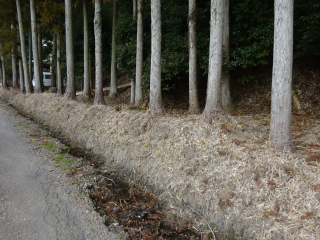 今泉城の登城記録(dougenさん)