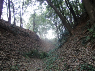 守谷城の登城記録(dougenさん)