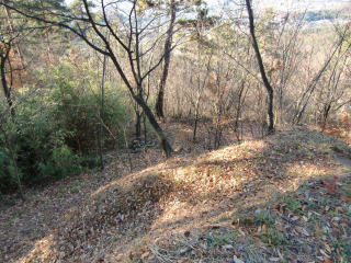 米山城の登城記録(dougenさん)