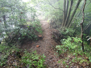 檜原城の登城記録(dougenさん)