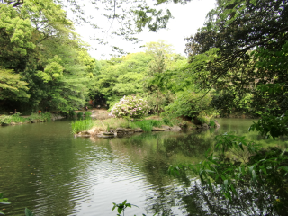 本郷城の登城記録(dougenさん)