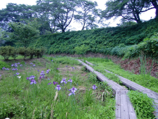 茂木城の登城記録(dougenさん)