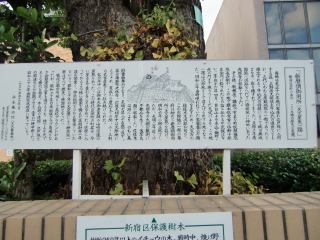 牛込城の登城記録(dougenさん)