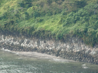 第六台場（品川台場）の登城記録(dougenさん)