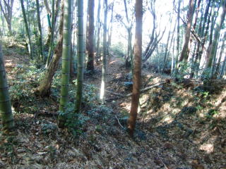 戸吹城の登城記録(dougenさん)