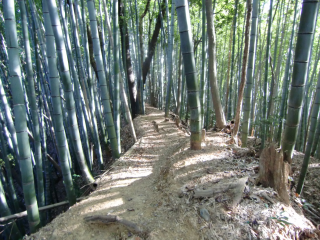 戸吹城の登城記録(dougenさん)