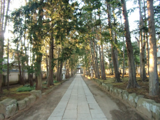 喜多見城（喜多見氏館、喜多見陣屋、喜多見屋敷）の登城記録(dougenさん)