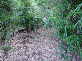 和田山の登城記録(dougenさん)