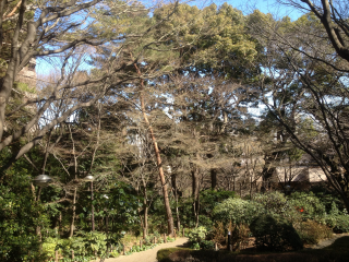 御殿山城（品川御殿）の登城記録(dougenさん)