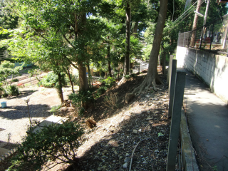 高安寺城の登城記録(dougenさん)