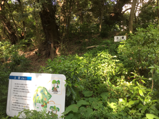 白金館（白金長者屋敷）の登城記録(dougenさん)