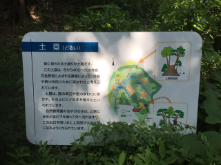 白金館（白金長者屋敷）の登城記録(dougenさん)