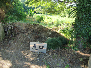 鷲城の登城記録(dougenさん)