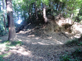 鷲城の登城記録(dougenさん)