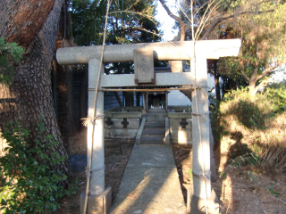 大蔵館の登城記録(dougenさん)