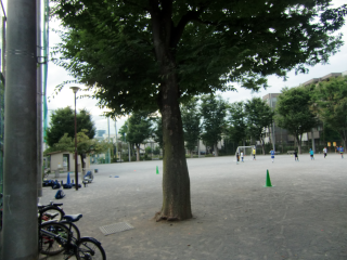 中野城山居館（中野陣）の登城記録(dougenさん)