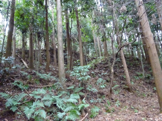 見川城の登城記録(dougenさん)