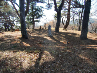 伊深城の登城記録(dougenさん)