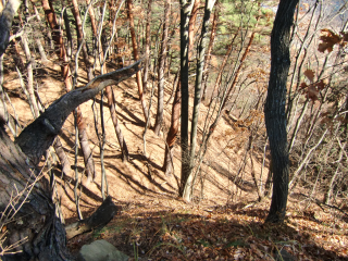 伊深城の登城記録(dougenさん)
