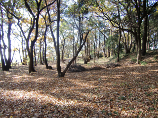 小坂城の登城記録(dougenさん)