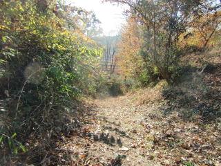 川崎城の登城記録(dougenさん)