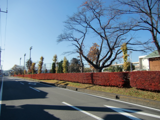 矢板城の登城記録(dougenさん)