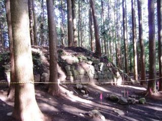 烏山城の登城記録(dougenさん)